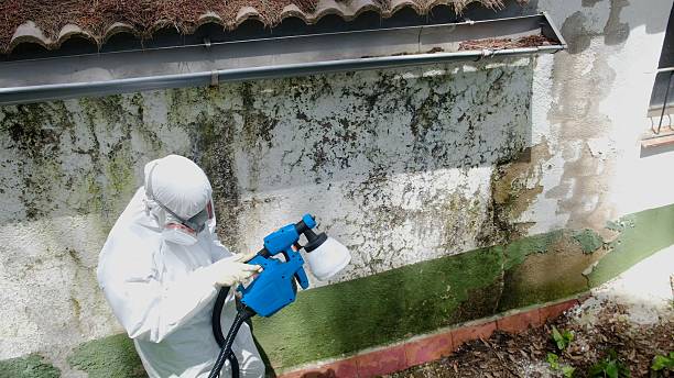 Top rated local Mold Inspection And Testing specialists in Danville, VA